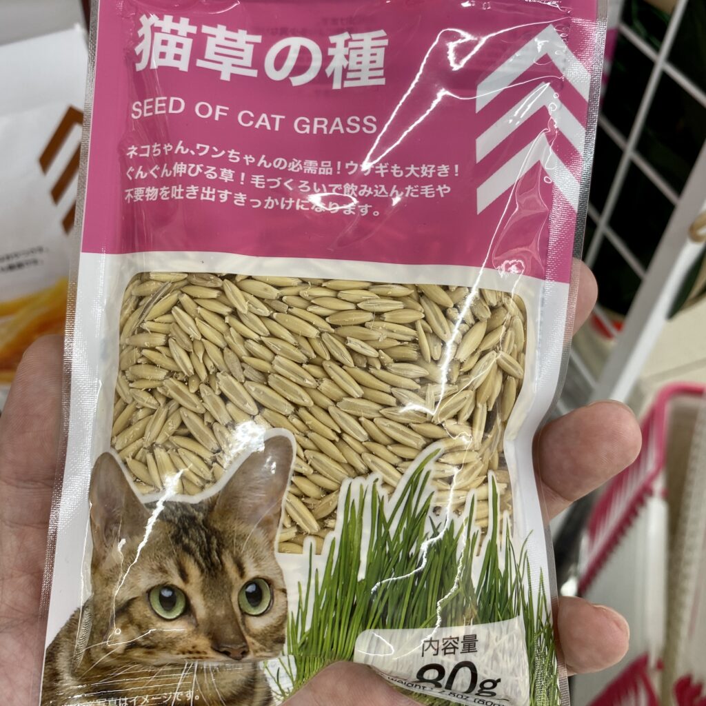 猫草の種 ねこ草 ネコ草 えん麦 猫草 種 大容量タイプ８００ｇ入り 仁